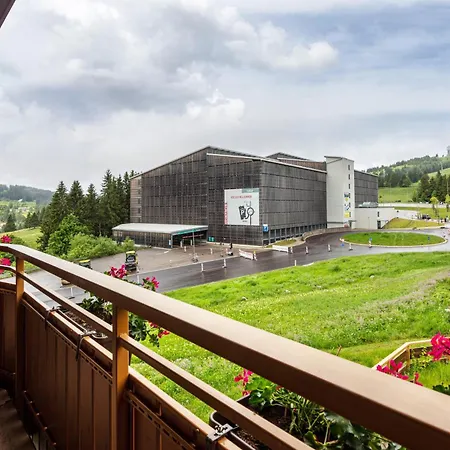 Cafe-restaurant-gaestehaus Waldvogel Feldberg (Baden-Wurttemberg)
